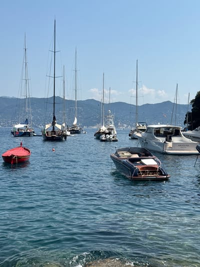 The image depicts a sun-drenched harbor in Portofino, Italy, filled with various watercraft. In the foreground, a small, bright red rowboat is anchored. To its right and slightly further back, a sleek, dark blue vintage motorboat with wooden accents is also moored. The middle ground is dominated by several large sailboats with tall masts, their sails furled, and a more modern white yacht with the name "ARGOLINA PORTOFINO" visible on its stern. The background features a lush, green hillside dotted with buildings, characteristic of the Ligurian coast, under a clear blue sky. The water is a vibrant turquoise, with the clarity revealing submerged rocks and sand in some areas. The overall scene is one of a tranquil, picturesque Mediterranean marina on a bright, clear day.