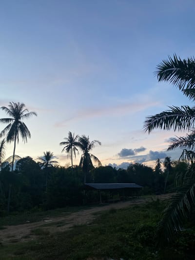 The image captures a landscape in Seuneubok Teungoh, Indonesia, featuring palm trees against a backdrop of a sky with hues of blue and subtle pinks, indicative of either sunrise or sunset. The foreground includes dense vegetation and what appears to be a dirt road or path. A structure, possibly a shelter or bus stop, is partially visible amidst the trees. The scene is bathed in soft, diffused light, suggesting a tranquil, rural setting.