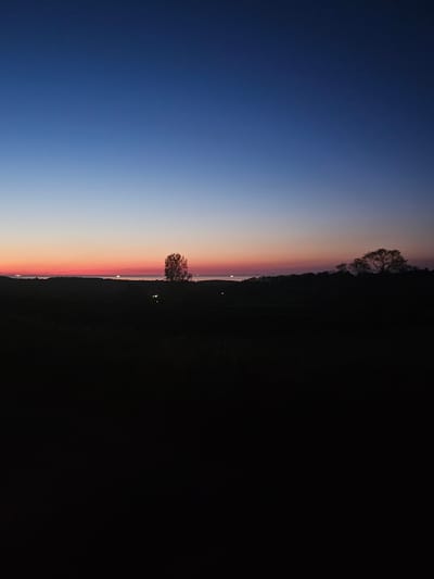 The image depicts a landscape at dusk. The sky transitions from a deep blue on the left to shades of orange and pink near the horizon. A dark, silhouetted treeline runs across the right side of the frame. Two trees are visible against the horizon: one in the middle and one at the far right. A few faint points of light are visible near the horizon line, suggesting distant lights. The precise location in Carmel, UK is not identifiable from the image alone.