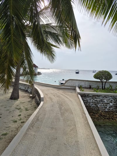 The image shows a coastal scene in Bodufolhudhoo, Maldives. In the foreground are palm trees, partially obscuring the view. Beyond the trees is a sandy pathway with a concrete border, leading along the coastline. The pathway curves and shows signs of recent use, possibly by vehicles or pedestrians. Adjacent to the pathway is a retaining wall constructed from rough, dark stones, separating the land from the water. The water is relatively calm, with several boats anchored or moored offshore. A small, neatly trimmed tree is visible between the path and the water's edge. The sky is overcast, and the overall lighting suggests early morning or late afternoon.