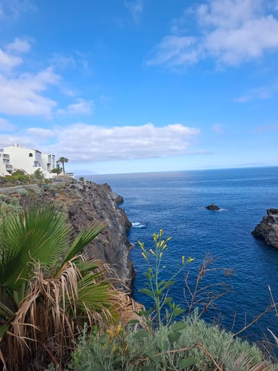 This media file captures a picturesque coastal scene in Santiago del Teide, Spain. The viewpoint is from a cliffside overlooking a vast expanse of deep blue ocean. Lush vegetation, including palm fronds and smaller green bushes with delicate yellow flowers, drapes over the rocky cliff in the foreground, adding a touch of natural beauty.
In the middle ground, the rugged, dark volcanic rock of the cliff face plunges dramatically into the sea. A few isolated rocky outcrops rise from the water, some topped with white seabirds, hinting at the lively ecosystem of the coast.
Further out, the ocean stretches to the horizon, meeting a clear blue sky dotted with fluffy white clouds. A hazy outline of distant land is visible on the horizon, suggesting an island or mainland in the distance. Along the cliff top, a white multi-story building with a modern architectural style is visible, featuring balconies and windows, indicating a developed area or resort. A palm tree stands near the building, reinforcing the tropical or Mediterranean setting.
The lighting suggests it is daytime, likely late morning or early afternoon, with bright sunlight casting shadows and illuminating the scene. The overall mood is serene and tranquil, emphasizing the natural beauty of the coastline and the peaceful coexistence of nature and man-made structures. No visible text is present in the image.