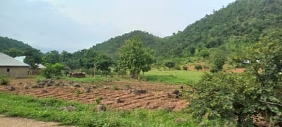 The image depicts a rural landscape scene in the city of Gu, Nigeria, characterized by rolling green hills covered in vegetation. In the foreground, there is a cultivated field with rows of tilled soil and scattered rocks. To the left of the field, there are two simple brick houses with corrugated metal roofs, suggesting a residential area. Further into the scene, a small, weathered structure, possibly a hut or storage shed, is visible amongst trees and vegetation. A single, prominent tree stands in the middle ground, and the background is dominated by the lush green slopes of the hills. The sky is overcast, contributing to a diffused light. The overall impression is one of a natural, semi-developed rural setting.
