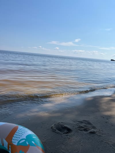 The media file depicts a beach scene on a clear day. The image is oriented vertically, with the sky filling the left portion of the frame and the water and sand occupying the right. The sky is a bright, pale blue with a few wispy white clouds scattered across it. The water is calm, with gentle ripples reflecting the sunlight. The sand is damp near the water's edge and dry further up the beach, with footprints visible. In the lower right corner, a colorful inflatable ring is partially visible. The presence of the inflatable ring suggests a recreational activity, likely swimming or relaxing by the water. The lighting indicates it is daytime, possibly late morning or early afternoon, given the brightness of the sun. The scene conveys a sense of tranquility and leisure associated with a day at the beach. No text is visible in the image. The location context provided is Lyutizh, Ukraine.