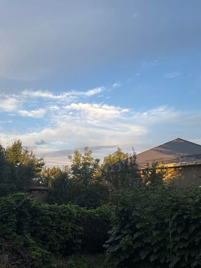 This is a vertical, outdoor, medium-shot photograph taken in Novopavlovka, Kyrgyzstan, of a building and trees under a bright, cloudy sky. The sky takes up the left two-thirds of the frame and is a clear, pale blue with scattered white, wispy clouds. The clouds are streaky and appear to be catching the light of the setting sun, with some areas of warmer, yellow light visible.
On the right side of the frame, the top portion of a building is visible. It has a grey, corrugated metal roof that slopes downwards from left to right. Below the roof, the wall of the building is a muted, light brown color, with shadows cast upon it, suggesting a low sun angle.
In front of and to the right of the building are dense trees and foliage. The leaves of the trees are a deep green, and in some areas, they are so thick that they obscure the building behind them. The overall impression is of a bright, possibly warm, late afternoon or early evening. There is no visible text in the image.