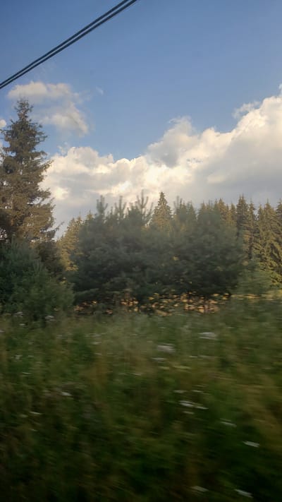 The image captures a view of trees and sky, with power lines visible in the upper part. The scene appears to be taken from a moving vehicle, indicated by the blur in the foreground which shows grass and wildflowers. In the mid-ground, a dense line of evergreen trees, likely conifers, forms a natural backdrop. The sky is a mix of blue with scattered white clouds, suggesting daylight. The overall impression is that of a natural landscape, possibly along a road or railway line in the vicinity of Hybe, Slovakia, given the context. There are no people or specific landmarks visible.