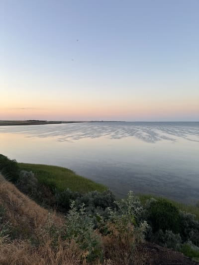 This is a vertical, wide shot of a serene landscape scene, likely taken at dawn or dusk, given the soft pastel gradient of the sky. The sky transitions from a pale blue on the left to a warm, peachy glow on the right. A vast body of water dominates the right two-thirds of the image, its surface appearing calm with subtle ripple patterns. Along the distant horizon, a faint line suggests land or a city skyline. The left third of the image is pure sky. The foreground on the right is a lush, sloping embankment covered in various shades of green vegetation, including tall grasses and shrubs. Further down the embankment, dry, golden grasses and bare branches indicate a more arid patch. The overall impression is one of tranquility and natural beauty. No people, objects, or text are visible in the image. The location context provided is Popazdra, Ukraine.