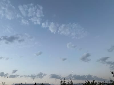 This is a wide-angle, eye-level, outdoor photograph taken in the city of Sardoba, Uzbekistan. The scene depicts a pale blue sky with scattered white and grey clouds at dusk or dawn. The bottom portion of the image shows the silhouetted rooftops of several buildings, some with visible antennae and chimneys. Dark green foliage from trees is visible along the bottom edge of the frame, with some lighter colored vegetation on the left. The lighting suggests a transition period between day and night. There are no people visible in the photograph.