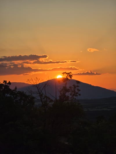 A panoramic landscape photograph captures a sunset over the mountainous terrain near Stob, Bulgaria. The sky displays a vibrant gradient of orange, gold, and amber hues, transitioning to a paler yellow-ochre at the top of the frame. The sun is partially submerged behind a prominent mountain peak in the midground, its intense white-yellow light glowing at the horizon. Distinct crepuscular rays emanate from the sun and pierce through scattered, dark-edged stratocumulus clouds positioned above and around the solar disk. The clouds are illuminated from below, highlighting their contours in orange and gold against the darker sky above.
The immediate mountain range is rendered in a deep, dark silhouette, presenting an undulating ridge line. Further in the background, successive layers of mountains appear as fainter, hazy blue-grey silhouettes, receding into the distance and indicating depth. The immediate foreground is dominated by the dense, silhouetted forms of deciduous trees and thick foliage, almost entirely obscured by shadow. Bare, intricate branches of some trees are sharply visible against the bright sky, devoid of leaves, indicating a specific season or tree type. Below the main mountain silhouette, a dimly lit valley or cultivated agricultural land can be faintly discerned in the far distance, marked by subtle tonal variations in deep green and dark grey. No people, animals, or prominent man-made structures are visible within the frame.