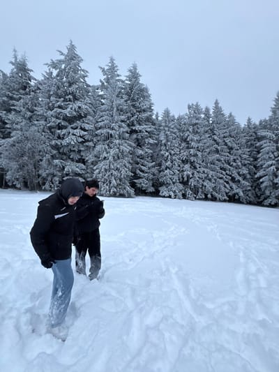 This image depicts two individuals traversing a deep snowfield at an unspecified location in Le Hohwald, France, bordered by a dense coniferous forest under an overcast sky. In the foreground, a person wearing a black hooded jacket with a white arm stripe, light blue pants, and black gloves stands in deep snow, facing left and looking downwards. Behind them, slightly to the right, a second person in a black jacket and black pants stands, holding a dark-colored smartphone with both hands and looking down at the device. Both individuals' lower legs are partially submerged in the snow, and fresh footprints and depressions mark their path. The background is dominated by numerous tall evergreen trees, their branches heavily laden with snow or rime ice, creating a uniformly white and gray winter landscape under a pale, cloud-covered sky.