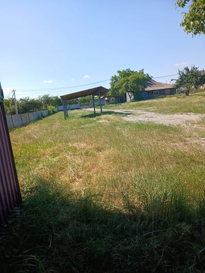 The image depicts an outdoor scene on a clear, sunny day, likely in a rural or suburban area of Vashkivtsi, Ukraine. The foreground is dominated by tall, dry grass, interspersed with some greener patches, suggesting a summer or late spring season. To the left, a portion of a corrugated metal fence, colored a dark reddish-brown, is visible.
In the midground, there is a gravel path leading towards a simple, wooden open-sided structure, possibly a shelter or carport, supported by metal posts. Beyond the path and shelter, a single-story house with a grey roof and beige walls is visible. The house has several windows and is partially obscured by trees. Another tree stands to the right of the house, and a metal fence runs along the property line behind the gravel path. Power lines and a utility pole are also visible in the background, to the left of the house. The overall impression is one of a residential property in a relatively undeveloped area, with a focus on natural vegetation and simple structures. There are no people or animals visible in the image.