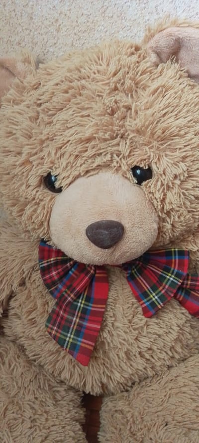 The image is a close-up, vertical, eye-level shot of a fluffy, light brown teddy bear. The bear is facing the camera directly, with its head and upper body filling most of the frame. It has a lighter, beige-colored snout with a dark brown, oval-shaped nose. Two shiny black eyes are visible, adding to its amiable appearance. Around the bear's neck is a red, green, and blue plaid bow tie. The background appears to be a textured, light-colored surface, possibly a wall or carpet. The lighting is neutral and even, suggesting it was taken indoors in ambient light. No specific activity is taking place, as the bear is a stationary object. The image focuses solely on the teddy bear and its details, providing no clues about the time of day, weather, or a specific location beyond what can be inferred from the object itself. There is no visible text in the image.
