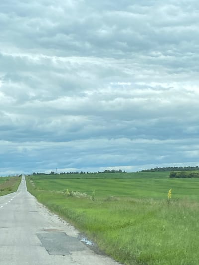 A paved, two-lane road stretches into the distance, disappearing over a slight rise. The road is in fair condition with visible patching. To the right of the road is a vibrant green field of crops, possibly wheat or barley, extending to the horizon. A single yellow flower stands tall in the grass along the edge of the field. To the left of the road, there is a less defined grassy area, and beyond that, faint fencing. In the far distance, along the tree line that marks the horizon, a tall, slender tower or pylon is visible. The sky is overcast with heavy, grey clouds, creating a diffused light. The scene appears to be rural, characteristic of the landscape around Орловка, Russia. There are no people or vehicles immediately visible in the frame, except for a distant white car far down the road.