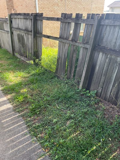 This outdoor image captures a section of a weathered wooden fence separating a grassy area from a concrete pathway in Riverhills, Australia. The scene is dominated by the aged timber fence, which appears to be in a state of disrepair with missing or broken planks, particularly towards the bottom half. The fence is constructed from horizontal wooden slats supported by thicker vertical posts, all exhibiting a greyish, sun-bleached, and possibly water-stained appearance. Some green paint or algae is visible on parts of the wood.

On the immediate right of the fence, a dense growth of grass and various weeds covers the ground. The vegetation shows different shades of green, with some areas appearing wilder and untamed. Along the bottom right, a concrete path runs parallel to the fence. Strong, elongated shadows cast by the fence slats fall across this concrete surface, indicating bright sunlight, likely in the morning or late afternoon.

In the background, behind the fence, a light-colored brick building with multiple windows is visible, suggesting a residential or suburban setting. Beyond the fence line, a patch of bright green foliage, possibly a garden or more unkempt vegetation, can be seen through the gaps in the fence. The overall impression is one of a slightly neglected boundary in a sunny, clear-weather environment. There are no people or visible text in the image.