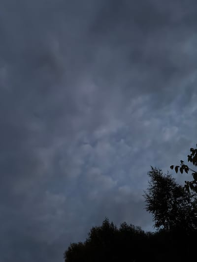The image shows a view of a cloudy, dark sky with the silhouetted tops of trees in the foreground. The sky is a deep gray with lighter patches indicating cloud formations. The trees are dark and indistinct, with some branches and leaves visible against the sky. The scene appears to be outdoors, possibly in a rural or suburban area, given the presence of trees. There are no people or discernible structures visible in the image. The overall impression is one of overcast weather, possibly at dusk or dawn.