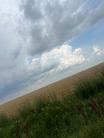 The image depicts a rural landscape with a field of ripe wheat under a cloudy sky. The field, angled from the lower right to the upper left of the frame, is a uniform golden brown. In the foreground, a patch of dense green vegetation, including tall grasses and some flowering plants, lines the edge of the field. The sky is a mix of gray storm clouds and bright blue patches, with large, fluffy white cumulus clouds near the horizon. The scene appears to be located in an open, agricultural area, characteristic of the outskirts of Varbak, Bulgaria. No people or structures are visible in the image.