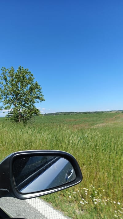 The image shows a landscape viewed from a car, likely in motion, in Seltsi, Bulgaria. A tree with green foliage stands to the left, adjacent to a field of green grass. Beyond the field, a flat expanse of land stretches to the horizon under a clear blue sky. A car's side mirror is prominently featured in the foreground, reflecting the side of the vehicle. The pavement or roadside is visible beneath the mirror, with some white flowers growing near the edge of the road.