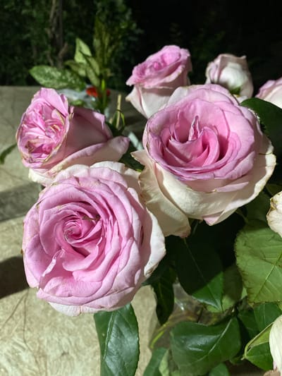 A close-up, slightly elevated, natural light, medium shot shows a bouquet of several pink roses and green leaves. The roses are the primary focus, with their soft petals and intricate swirls clearly visible. The lighting casts subtle shadows and highlights on the petals, emphasizing their texture. In the blurred background, dark foliage suggests an outdoor setting, possibly a garden. The arrangement is placed on a textured surface, possibly a table.