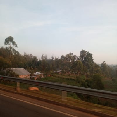 The image depicts a rural or semi-rural landscape within Butsotso central ward, Kenya, viewed from an elevated position. In the immediate foreground, a two-bar metallic guardrail runs horizontally, partially obscuring a dark, blurred road surface below. The midground features multiple scattered residential structures nestled amidst dense, green vegetation on gently undulating terrain. On the left, a prominent building with a grey corrugated iron roof and walls constructed from unpainted timber or logs is visible. Adjacent to it, a smaller structure with a similar roof and reddish-brown walls (possibly earth or unpainted brick) stands near cultivated green plots. Further into the midground and to the right, several more small, simple buildings with grey roofs are partially visible among numerous trees. The vegetation consists predominantly of tall, leafy trees, interspersed with smaller bushes and areas of cultivated green land. The background reveals a light blue sky, transitioning to a hazy white-blue near the horizon, above distant, tree-covered hills. No individuals, vehicles, or specific actions are discernible.