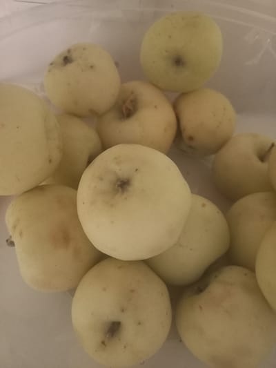 This media file is a close-up, overhead shot of a collection of light-yellow apples. The apples are the primary subject, filling most of the frame. They are arranged loosely in a clear plastic container, suggested by the slight sheen and reflections on the surface. The scene is indoors, with a neutral, light-colored background. There is no discernible activity or event taking place, as the apples are static. Notable details include the varied sizes and shapes of the apples, some exhibiting small brown blemishes or specks. The lighting appears to be artificial and even, with no indication of time of day or weather. The location context of Tor-Tor mahalla, Uzbekistan, is external information and not visually deducible from the image itself. There is no visible text in the media file.