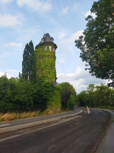 The image depicts a historic, ivy-covered tower situated in Monheim am Rhein, Germany. The tower, a prominent structure, is surrounded by lush greenery and mature trees. A paved road, showing signs of recent resurfacing with exposed aggregate, curves away from the foreground. A traffic cone with orange and white stripes is positioned on the road, indicating ongoing construction or maintenance. The sky above is partly cloudy, with a mix of blue sky and white cumulus clouds. The scene appears tranquil, with no people or animals visible. The environment suggests a balance between natural elements and urban infrastructure.