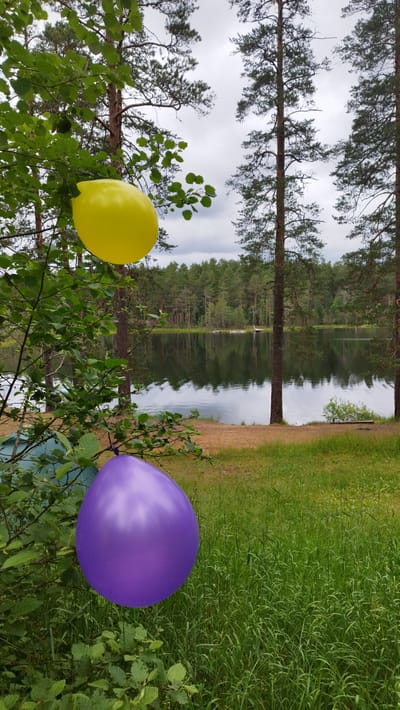 A serene lake scene unfolds, with tall pine trees framing a tranquil body of water that reflects the overcast sky. The lake is surrounded by a dense forest of pines and deciduous trees, with a strip of sandy shore and grassy meadow in the foreground. Two balloons, one yellow and one purple, are tied to tree branches, adding a touch of celebratory color to the natural landscape. The yellow balloon is positioned higher up on a branch, while the purple balloon hangs lower, closer to the ground.
The weather appears to be cloudy, contributing to a diffused light that softens the scene. The time of day is indeterminate, but the cloudy conditions suggest it could be overcast afternoon. The location is identified as Orekhovo, Russia, a detail that adds a geographical context to the natural beauty captured in the image. There are no people visible, implying a moment of quiet solitude or perhaps a pre-event setup for a gathering. The overall emotion evoked by the image is one of peace and natural beauty, with a hint of festivity from the balloons. No visible text is present in the image.
