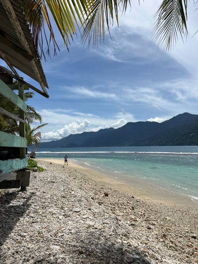 An eye-level shot captures a tropical beach scene in Pasi, Indonesia, under a partly cloudy sky. In the foreground, a dilapidated wooden structure with a corrugated metal roof and faded teal siding sits on the left, partially obscuring the view. The ground is covered in a dense layer of small, white coral fragments and pebbles. Beyond the coral beach, a thin strip of sand leads to the turquoise ocean, where gentle waves break. In the mid-ground, a person wearing a blue and white striped shirt and dark shorts stands on the sand, holding a fishing rod. The person appears to be fishing. In the background, a dark, forested mountain range rises from the sea, its peak shrouded in mist and clouds. The water is clear, revealing a subtle reef or shallow area just offshore. Palm fronds hang from the top of the frame, adding to the tropical ambiance.