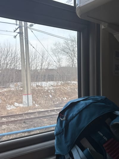 The image presents a view from inside a moving vehicle, likely a train, looking out a window at a landscape near Usolye-Sibirskoye, Russia. The exterior scene depicts two parallel railway tracks, partially covered by scattered snow and surrounded by dry, light-brown vegetation, characteristic of late winter or early spring. A tall, twin concrete utility pole with a red marking at its base stands prominently to the left of the tracks, supporting multiple electrical or communication wires that span across the frame under an overcast sky. Behind the railway and utility pole, a dense thicket of bare deciduous trees is visible, with a dark, indistinct line of a distant structure or heavier tree line in the background. Inside the vehicle, the lower right foreground is occupied by a blue, textured backpack, partially obscuring the interior. The text "FLEX VARIO" is legible on a strap of the backpack, which also features a small red loop and a white clip. A blue horizontal bar is visible along the bottom edge of the window frame. The upper right interior section reveals a curved, light-colored overhead panel and a vertical wall featuring two partially visible QR codes printed on paper. No individuals are directly depicted.