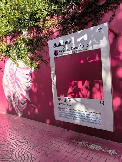This media file captures an Instagram-themed photo frame installed on a vibrant pink wall. The frame, designed to resemble a social media post, is surrounded by lush green ivy climbing the wall. A large, stylized pink and white flower mural is painted on the wall below the frame, adding to the artistic and colorful scene. The location appears to be outdoors, likely a public space given the presence of a street mural and the frame itself.
The text within the frame indicates it's a feature of the "Paseo de Dona Blanca" in Puerto Plata City, Dominican Republic. It also includes details about likes, comments, and shares, mimicking an Instagram post. Specific hashtags and mentions like #callejonrosado, #puertoplata, @alcaldiapuertoplata, and @letralex suggest a public art project or tourist attraction in Puerto Plata. The overall mood is lively and visually stimulating, characterized by bright colors and artistic expression. The lighting suggests it's daytime, with shadows from nearby objects or foliage casting patterns on the wall and frame.