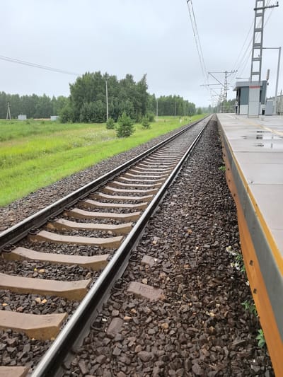 The image depicts a railway track and platform in the city of Usady, Russia. The scene is outdoors on an overcast day. The railway tracks, made of concrete sleepers and ballast, run parallel to a train platform. The platform is wet, indicating recent rain, and has a yellow warning line along its edge. A small modern station building with a grey and white facade is visible on the platform. Overhead power lines for the electric train are strung above the tracks. Beyond the tracks, there is a grassy field with scattered small trees and a dense line of deciduous trees in the background. The overall environment appears to be a rural or suburban railway station. There are no people clearly visible in the image.
