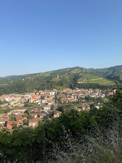 The image is an aerial view of the town of Santo Stefano Belbo, Italy, bathed in bright daylight under a clear blue sky. In the foreground, lush green grapevines and dry grasses obscure the lower edge of the frame, suggesting a hillside perspective.
The town itself is nestled in a valley, characterized by a dense collection of buildings with terracotta-tiled roofs in various shades of red and orange, interspersed with cream, yellow, and white facades. A prominent church with a tall, bell tower stands out in the center of the town. Residential and commercial buildings fill the urban landscape, with a road visible winding through the settlement.
Beyond the town, rolling hills dominate the background. These hills are extensively covered with vineyards, their neat rows creating a picturesque pattern. Patches of dense green forest are also visible, interspersed with scattered houses and structures. On one of the distant hills, a solitary tower or structure is perched, adding a historical element to the vista. The overall impression is of a peaceful, rural Italian landscape.