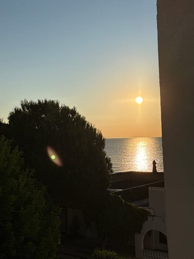 The image depicts a coastal sunset scene, likely in Süleymanpaşa, Turkey, given the context. A bright, round sun hangs low in the clear sky, casting a shimmering golden path across the calm sea. The horizon is distinctly visible, separating the sky from the water. In the foreground, a large, dark green, bushy tree dominates the left side of the frame, partially obscuring the view of buildings nestled behind it. These structures appear to be houses or villas with white walls and arched windows, some of which are partially covered by greenery. A portion of a light-colored, textured wall juts into the right side of the frame, suggesting a building or structure is very close to the vantage point. The overall impression is one of a peaceful evening by the sea.