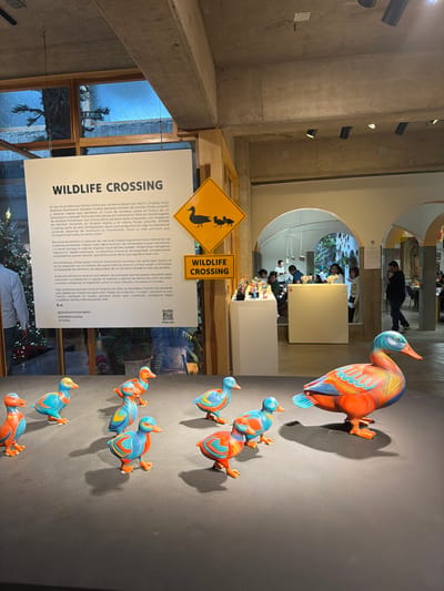 The image depicts an indoor display featuring "Wildlife Crossing" art. A large sign with the same title in both Spanish and English discusses migration as a natural phenomenon. Several stylized, colorful duck figurines are mounted on a wall, seemingly "crossing" it. A yellow "Wildlife Crossing" sign with duck silhouettes is prominently displayed. In the background, people are visible in an adjacent room. The display combines artistic expression with a message about migration and the natural world.