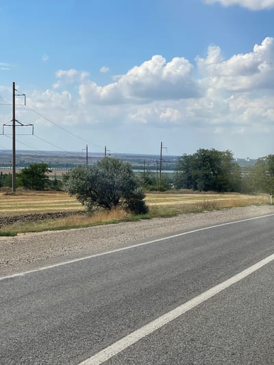 The image depicts a rural landscape near the city of Praskoveya, Russia. In the foreground, a paved road with a white line marking the lane runs diagonally from the bottom right to the top left of the frame. The road is bordered by a gravel shoulder with sparse dry grass.

Beyond the road, the terrain slopes gently downwards. A field with rows of harvested crops, appearing as dry, golden stubble, occupies the middle ground. A prominent, leafy green tree stands to the left of the field, and a larger, dense tree with a fuller canopy is situated more centrally. In the distance, a body of water, possibly a river or lake, is visible, with a line of trees along its banks. Further in the background, buildings and structures of a settlement can be seen.

Power lines supported by tall poles stretch across the landscape, indicating the presence of infrastructure. The sky is a bright blue with scattered white cumulus clouds, suggesting fair weather. The overall scene is one of a rural, open expanse under a partly cloudy sky. There are no people or animals visible in the image.