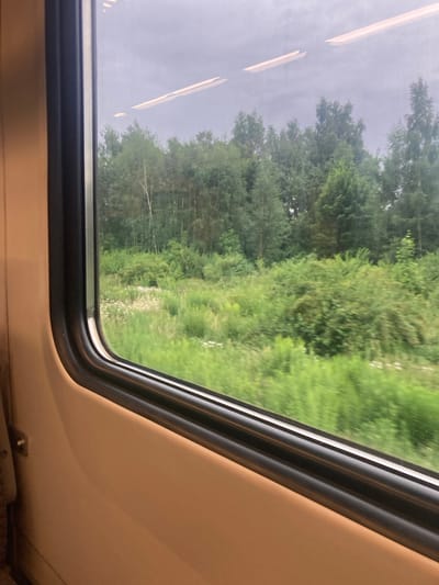 The image, taken from inside a moving train, shows a view through a window of a landscape. The window frame is dark and appears to be made of metal and plastic. Outside, there is a dense forest with various shades of green foliage. The foreground of the forest consists of tall grass and some white wildflowers. The sky above is overcast and gray, with reflections of interior lights on the window glass. The interior of the train, visible on the left and bottom of the image, is a neutral beige color. The image is without people or any specific identifiable structures within the city of Sokolovo, Russia.