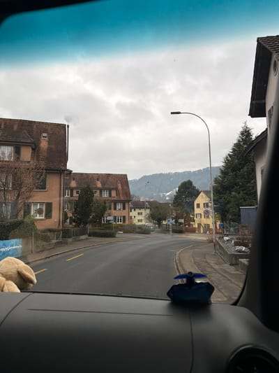 The image displays a street scene in Adliswil, Switzerland, viewed from inside a vehicle through its windshield. The upper portion of the windshield shows a blue tint. In the immediate foreground, a dark grey dashboard is visible, with a partially obscured beige plush toy on the left and a small dark blue object on the right.
The asphalt road, appearing wet, curves gently to the right and features a broken yellow line on its left side. No individuals or vehicles are present on the road.
On the left side of the street, several multi-story residential buildings with traditional red-tiled roofs and light brown facades line the sidewalk. Smoke is seen rising from a chimney on the roof of the leftmost building, which also features dark green window shutters. A low wall with a blue and white patterned mural borders the sidewalk at the bottom left. Leafless trees are interspersed among the buildings.
On the right side of the street, a tall streetlamp with a curved arm stands beside a sidewalk. Further down, a yellow building with dark windows and a circular sign is visible, partially obscured by evergreen trees.
The background reveals a range of hills or mountains, partially covered with snow. The sky is uniformly overcast with grey clouds.