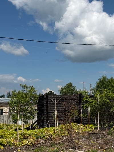 In Dresvyanovo, Russia, a scene of partial destruction is depicted under a bright, partly cloudy sky. The focal point is a partially burned wooden structure, its logs charred black, suggesting a recent fire. The building's roof appears to be intact, with some exposed beams indicating structural damage. In front of the structure, vibrant green and yellow foliage grows, interspersed with dry branches and debris, suggesting a garden or overgrown area. To the left, a section of a white metal fence is visible, bordering a building with a light-colored brick facade and a metallic roof. The environment is rural, with lush green trees surrounding the scene. A dark power line runs horizontally across the upper portion of the frame. High in the sky, a single, small dark silhouette, likely a bird or an aircraft, is visible against the blue expanse. The overall impression is one of nature's resilience and the aftermath of a destructive event.