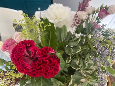 This is a close-up, eye-level, indoor photograph of a vibrant floral arrangement. The dominant feature in the foreground is a large, velvety, bright red celosia flower, its ruffled petals forming a complex, brain-like structure. To the left of the celosia, there are delicate, bright yellow-green clusters of tiny flowers. Behind the celosia, a large, fluffy white peony is visible, its petals soft and layered.
Scattered throughout the arrangement are several light pink and white roses, some fully bloomed and others in bud. Tucked in are sprays of small purple flowers that add a contrasting texture and color. The arrangement includes abundant green foliage, with some leaves having variegated edges of cream and white.
The background is softly blurred, suggesting an indoor setting. Hints of white furniture and a teal-colored wall or surface are discernible. The overall impression is one of abundance and rich color. There is no indication of the city of Kilpedder, Ireland, or any specific environmental context that would place it there.