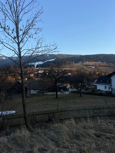 A panoramic view of Spital am Semmering, Austria, is presented, depicting a late winter or early spring landscape under a clear blue sky. The immediate foreground consists of dry, light-colored grass and weeds. A weathered wooden picket fence extends horizontally across the lower frame. Behind the fence, a grassy yard, primarily brown with some green, contains several bare deciduous trees; a prominent tree on the left displays numerous small seed pods or remnants on its branches. Patches of residual snow are visible on the ground within this yard, particularly on the left. The mid-ground reveals a residential cluster comprising multiple houses with pitched roofs, one appearing as a barn-like structure on the left, and another, a white two-story house with a dark roof, on the far right. These buildings are interspersed with bare deciduous trees and partially visible fields. The background features forested mountains, with a distinct white ski slope visible on the left-hand mountain. Patches of snow are also present on the distant fields. No human subjects are present.