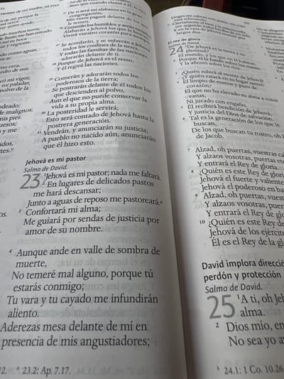 This image depicts an open Spanish-language Bible, or similar religious text, resting on a flat, light-colored surface in Nuevo Santiago, Panama. The left page displays Psalm 23, starting with "Jehová es mi pastor; nada me faltará." (The Lord is my shepherd; I shall not want.) and continues through verse 5. Portions of Psalm 22 are visible above. The right page presents the latter half of Psalm 24, titled "El rey de gloria" (The King of Glory), and the beginning of Psalm 25, which includes the title "David implora dirección, perdón y protección" (David implores direction, forgiveness, and protection). The pages are white with black printed text, appearing clean and well-preserved. The scene is evenly illuminated with no discernible individuals or external objects present.