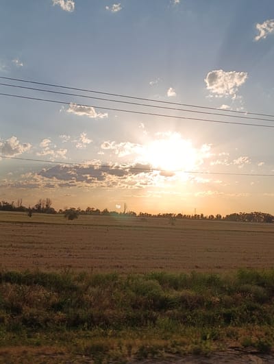 The image shows a rural landscape with a harvested field in the foreground and a line of trees in the distance under a bright, partly cloudy sky. The sun is setting or rising, casting a warm glow and visible sunbeams through the clouds. Three power lines are visible in the upper portion of the image, running horizontally across the frame. The field is covered in stubble, suggesting recent harvesting. There are scattered dark specks in the field that could be birds. The vegetation at the very bottom of the frame is a mix of green grasses and dry brush. The sky transitions from a clear blue at the top to a warm orange and yellow near the horizon. There is a power pylon visible in the far distance. The scene appears to be located in a rural area outside of Жаңаталап, Kazakhstan, consistent with the open fields and vegetation.
