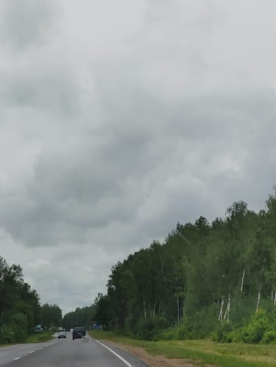 A cloudy, overcast sky looms above a two-lane asphalt road in a rural area. The road is bordered on both sides by dense green trees, primarily birch trees with their characteristic white trunks. The road appears to be a highway, with at least one car visible in the distance. The area is flat, with no hills or significant elevation changes. The scene is captured from a moving vehicle, indicated by the slight blur and the perspective. The location is identified as Lyashchitsky Selsoviet, Belarus.