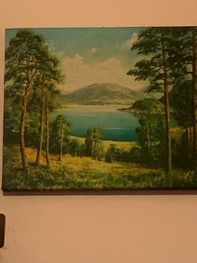 The image is a close-up, angled shot of a painting. The painting depicts a natural landscape, likely a lake or fjord, with mountains in the background and trees in the foreground. The scene appears serene and tranquil, with soft, diffused lighting suggesting either early morning or late afternoon. The sky is a pale blue with white clouds. The trees are depicted in various shades of green and brown, with some appearing to be pine trees with their distinctive needles. The water is a deep blue-green, reflecting the sky and surrounding landscape. The mountains in the distance are rendered in muted tones of gray and brown, possibly indicating they are covered in rock or sparse vegetation. The overall style of the painting is realistic, with a focus on natural light and color. There are no people or animals visible in the painting. The painting is framed by a dark border. The background of the image, outside the painting, is a plain, light-colored wall.