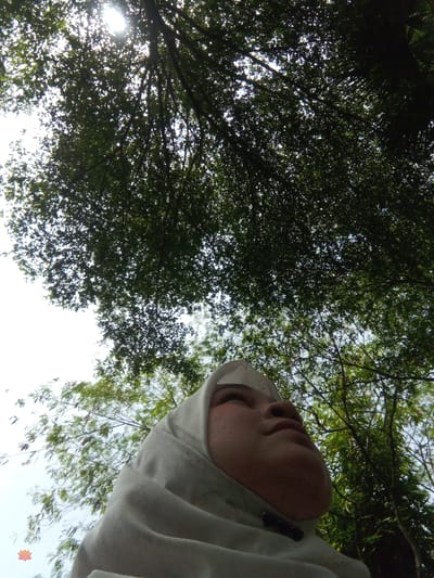 This low-angle, close-up photograph captures a young Indonesian woman wearing a light-colored hijab, looking upwards. She is situated outdoors, beneath a canopy of lush green trees. The sun's rays filter through the dense foliage, creating a dappled light effect. The background consists of the sky and more trees, suggesting a natural, possibly park-like setting. The image has a soft focus and a natural color palette. The specific location of Suka Makmur, Indonesia, is mentioned as the context for this image.