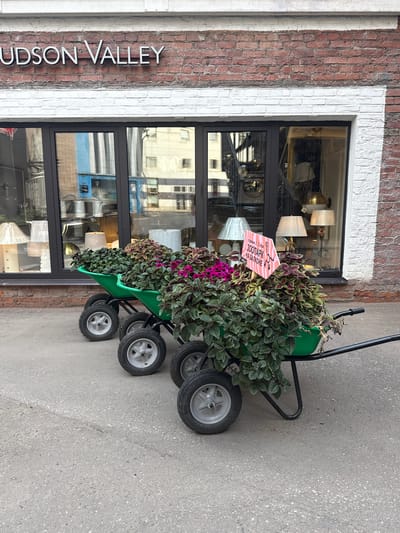 The image depicts an outdoor scene in front of a storefront. Above a large glass window displaying lamps, the words "HUDSON VALLEY" are mounted on a brick facade. In front of the window, three green wheelbarrows filled with lush green and purple foliage are arranged in a staggered row. A pink and white sign is placed in the front wheelbarrow, reading "ЗООПАРК НА БАЛКОНЕ" (Zoo on the balcony). The ground is paved asphalt. The overall impression is an urban storefront with decorative plant displays. The location provided, Zhabkino, Russia, is not visually verifiable from the image.