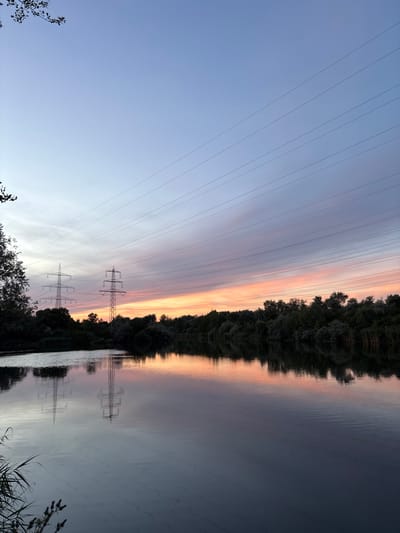This is a vertical, medium-shot photograph of a body of water with a treeline on the far bank, silhouetted against a twilight sky. Two tall, lattice-style electrical pylons stand on the left side of the image, in front of the treeline. Power lines stretch diagonally across the sky from the upper left to the lower right. The sky displays a gradient of colors, from pale blue at the top to soft pinks and oranges near the horizon, indicative of sunset. The water is calm, reflecting the sky, treeline, and the pylons. The photograph was taken in the Pfingstweide industrial park area of Ludwigshafen am Rhein, Germany. There are no people or animals visible in the image.