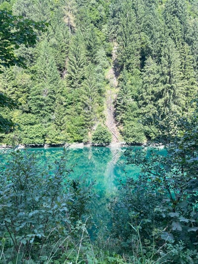 The image depicts a natural outdoor scene in Reitlehen, Austria, characterized by dense vegetation and a body of water. The upper two-thirds of the frame are occupied by a steep, forested mountainside covered predominantly with dark green coniferous trees, intermingled with lighter green deciduous foliage. Patches of lighter soil or exposed rock are visible on the slope amidst the trees. The lower third of the image features a calm body of water, exhibiting a distinct turquoise or teal color, reflecting the surrounding trees and sky. The immediate foreground, at the bottom of the image, consists of a dense layer of various green shrubs and grasses, partially obscuring the view of the water. No individuals, animals, or man-made structures are present in the scene.