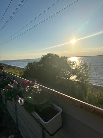 This is a vertically oriented, eye-level photograph of a natural outdoor scene bathed in the warm glow of sunset. The primary subjects are the sky, a body of water, vegetation, and some man-made elements. The sun, low on the horizon, casts a bright, radiant light, creating a lens flare that streaks across the upper left quadrant of the image. Its reflection shimmers on the surface of the calm water, which occupies the middle ground of the picture.
Dense green foliage, likely trees and bushes, is visible along the shoreline and also in the foreground, obscuring a clear view of the land. In the immediate foreground, to the right, a white planter box holds several flowering plants with delicate purple and pink petals, adding a touch of vibrant color to the scene. The plants appear well-maintained. Above and to the left of the planter, a portion of a white structure, possibly a fence or a railing, is visible, showing signs of wear with rust streaks. Several thin, dark utility lines are strung across the lower left portion of the sky, suggesting a populated area nearby.
The lighting indicates it is late afternoon or early evening, with the golden hour casting long shadows and a soft, diffused light. The sky is a clear, pale blue transitioning to a warmer, yellow hue near the horizon. The overall mood is serene and peaceful, with a sense of natural beauty highlighted by the sunset. The location is identified as Voronezhskoye-2, Russia. There is no visible text within the image.