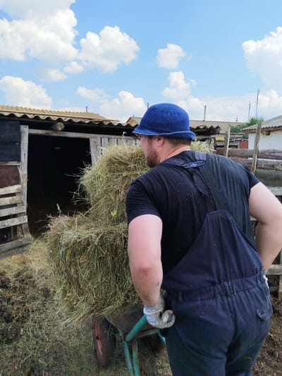 A man wearing dark blue overalls, a black t-shirt, a blue bucket hat, and white gloves is pushing a wheelbarrow loaded with hay. He is facing away from the camera, and his head is turned to the left. The wheelbarrow is green and has a red wheel. The hay is a large pile, spilling over the sides of the wheelbarrow. In the background, there is a rustic wooden structure, possibly a barn or shed, with a corrugated roof. The ground is covered in dirt and loose hay. The sky is blue with scattered white clouds. The scene appears to be in a rural setting, possibly on a farm or in a village like Мещеряковка, Russia, given the context.