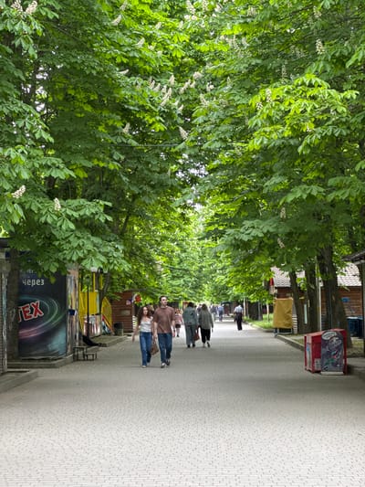 The image shows a street scene in Zamankul, Russia, lined with trees in full leaf and white blossoms. Several pedestrians are walking on a brick paved road. There are vendor stands, advertisements, and buildings along the street. The image is taken from a high angle, looking down the street.
