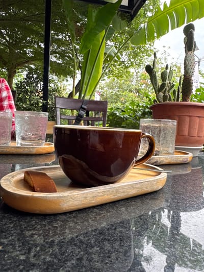 This is a medium shot, eye-level outdoor photograph of a coffee and water setup on a granite table in Battambang, Cambodia. The scene appears to be set in a cafe with a lush, green outdoor seating area. In the foreground, a dark brown ceramic mug filled with coffee sits on a light-colored wooden tray. A single piece of biscotti rests on the same tray next to the mug. To the right of the coffee mug, a clear glass filled with water and ice is also on a wooden tray. In the background, out of focus, are more glasses of water, a wooden chair, and a large terracotta pot containing several cacti. Further back, a variety of lush green plants and trees create a tropical ambiance, with large banana leaves visible in the upper right portion of the frame. The overall impression is one of a tranquil outdoor cafe setting.